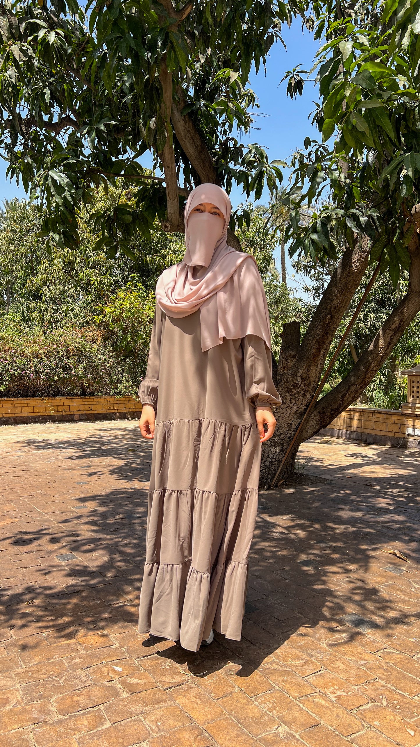 Shafaq Dress in Cafe