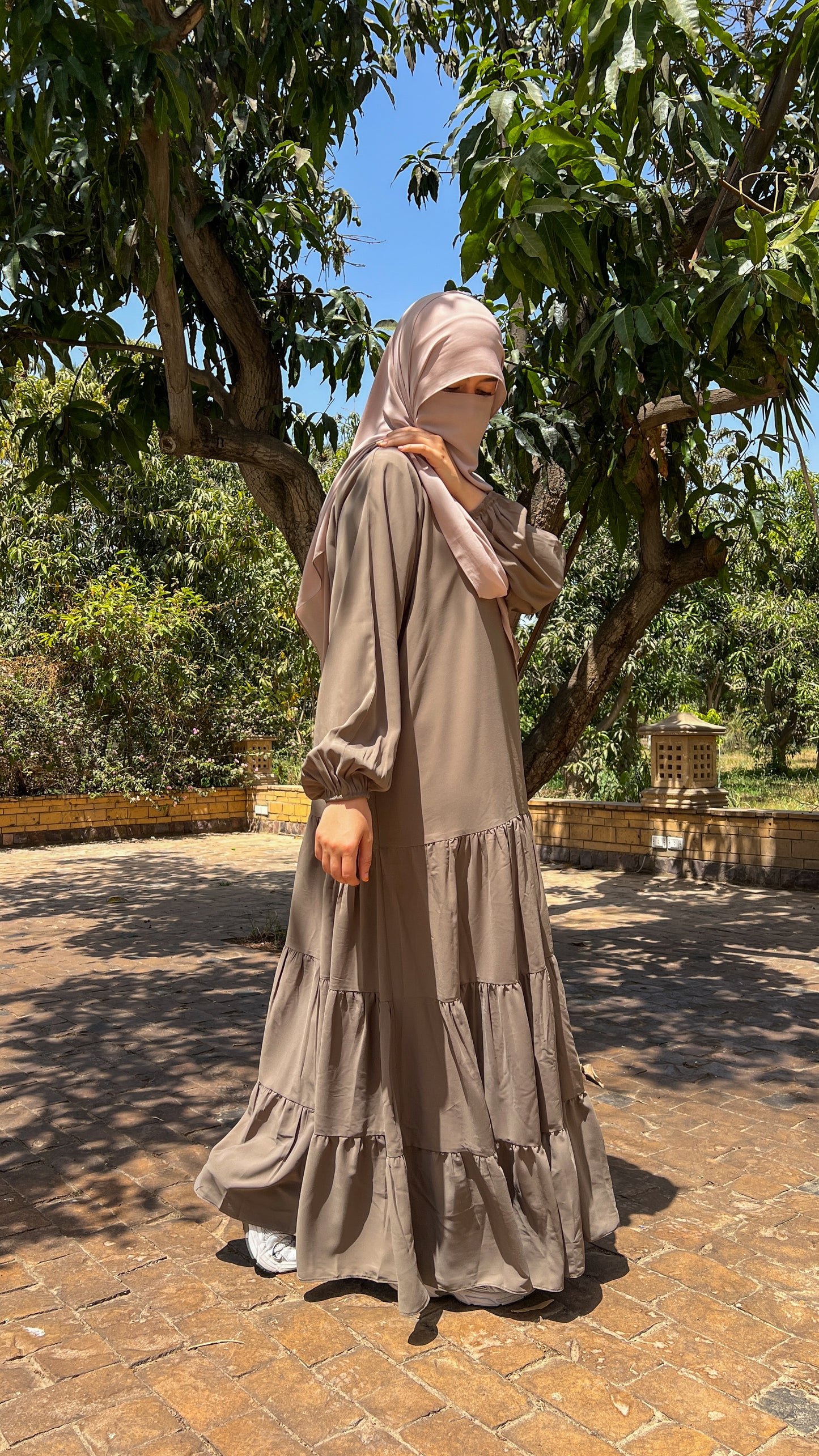 Shafaq Dress in Cafe