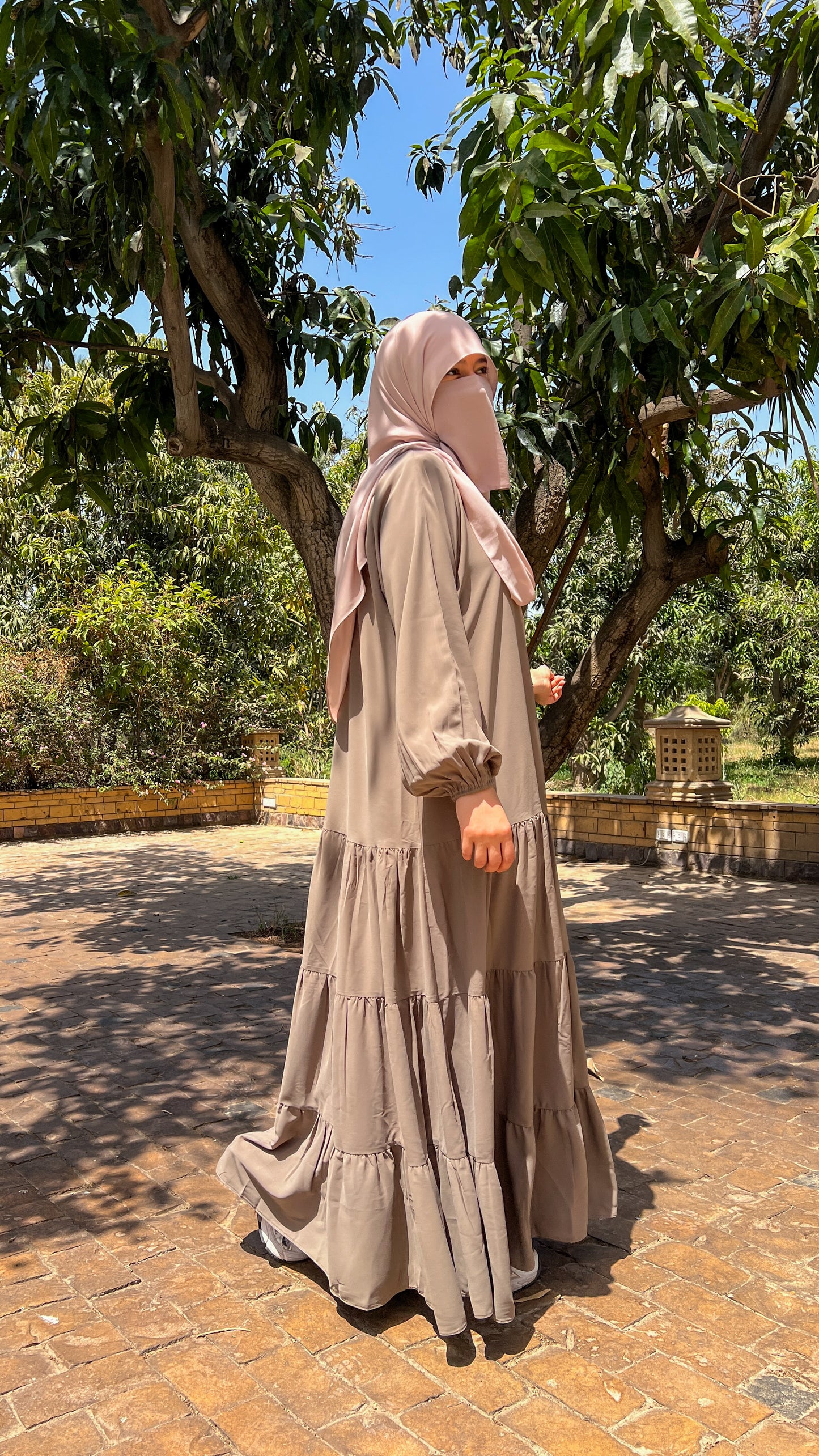 Shafaq Dress in Cafe