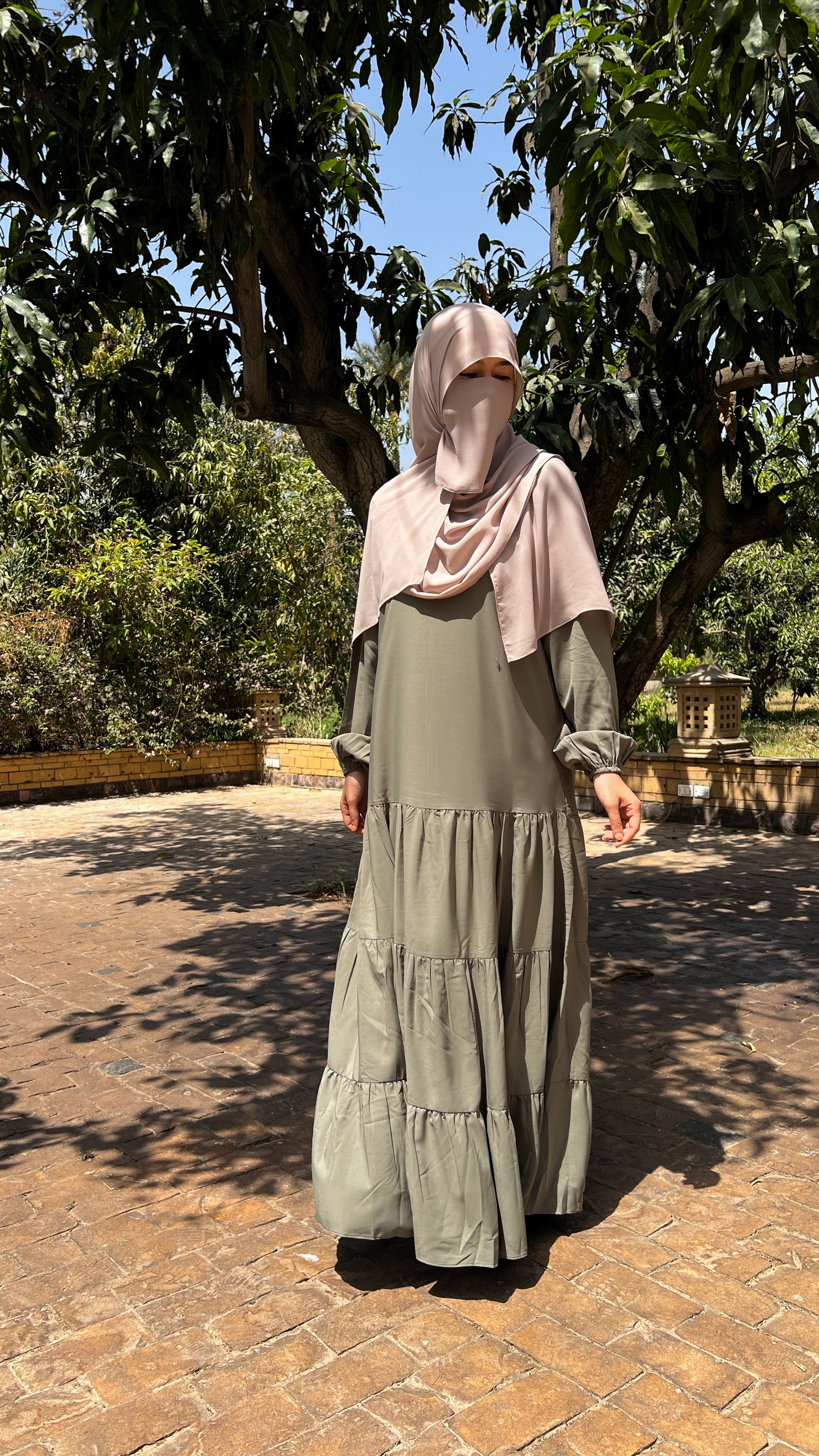 Shafaq Dress in Olive